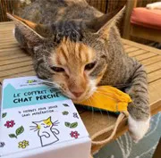Le coffret du chat perché
