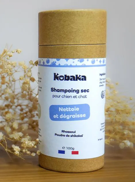 Le shampoing sec au Rhassoul
