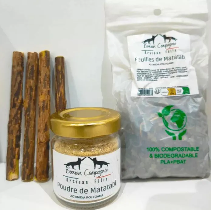 Kit &eacute;veil des sens