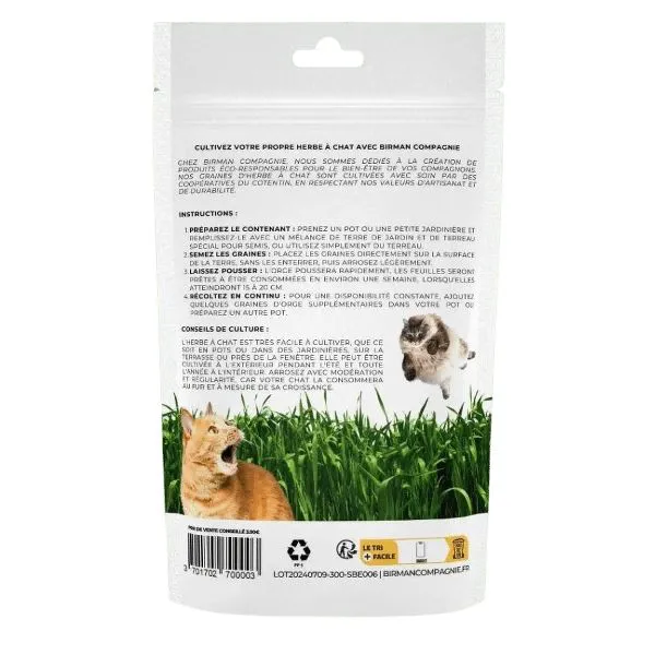 Herbe &agrave; chat &agrave; faire pousser 200g