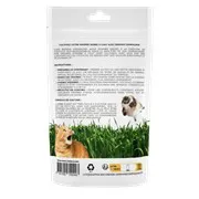 Herbe à chat à faire pousser 200g