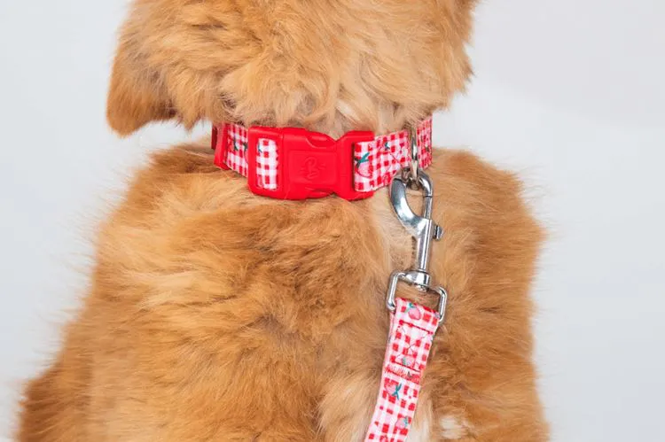 Collier Berrylicious - Taille S