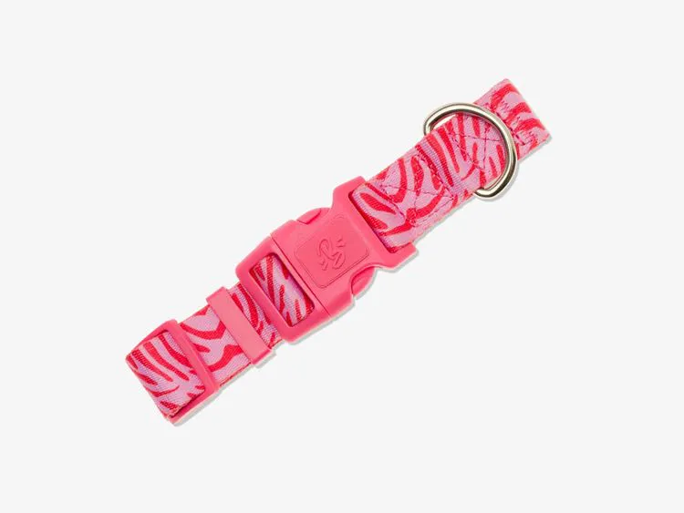 Collier Pink Zebra - Taille S