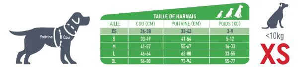 Harnais Easy Ride noir - Taille XS