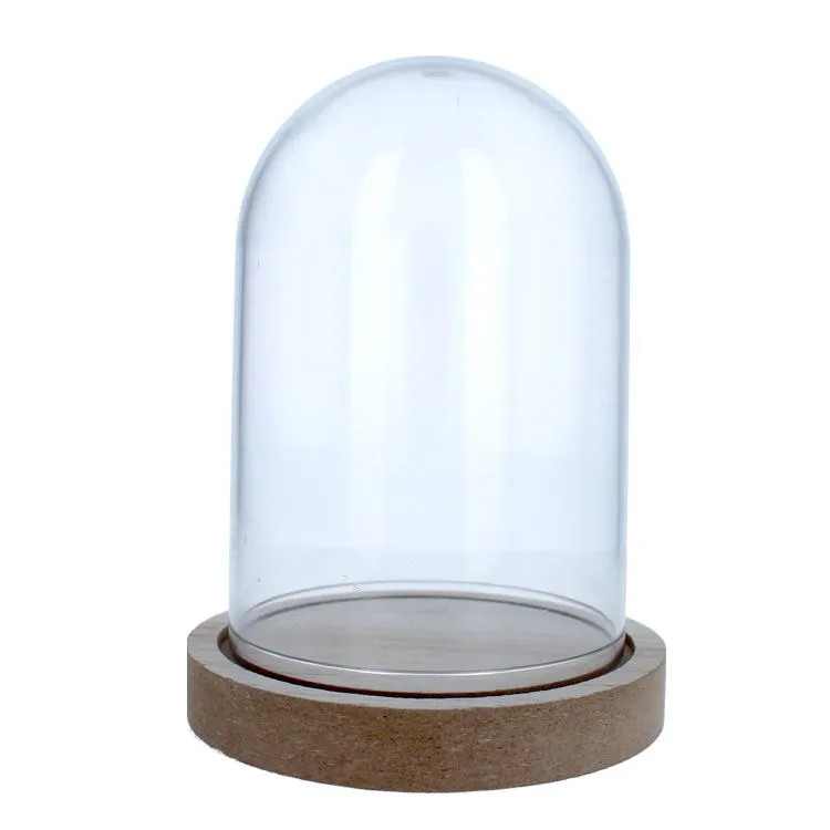 Dôme transparent (8x12cm) 