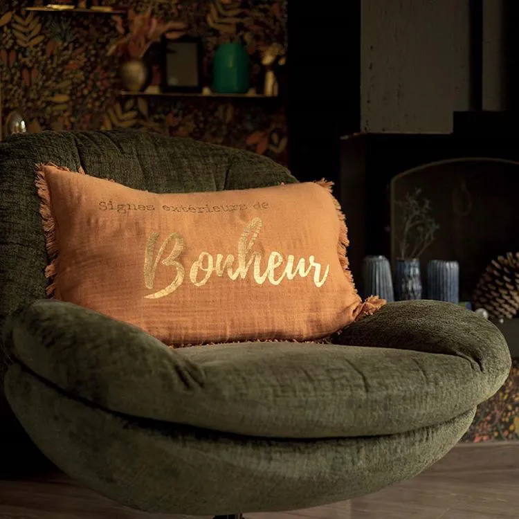 Cushion 'Signes ext&eacute;rieurs de bonheur'