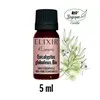 HE Eucalyptus globuleux Bio 5 ml