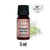 HE Eucalyptus radié Bio 5 ml