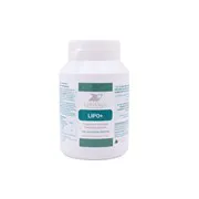 Lipo - 160 comprimés