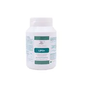 Lipo + - 480 comprimés