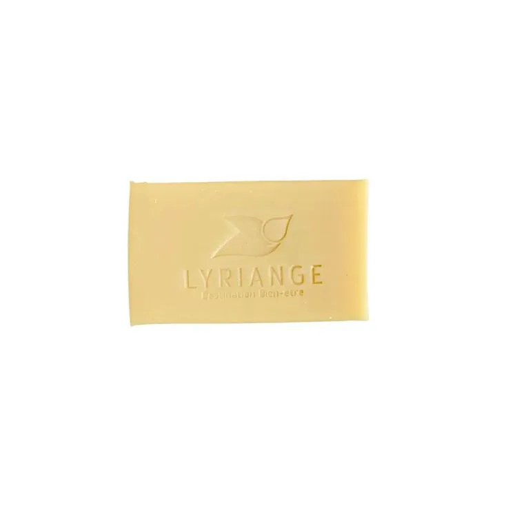 Savon solide 2 en 1 - Corps & Cheveux 