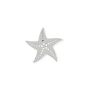 Pendentif étoile de mer acier