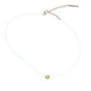 Collier Citrus 1