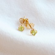 Boucles d'oreilles Citrus 2